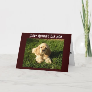 母の母の日のアドバイス カード