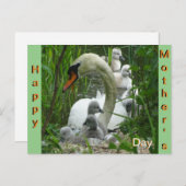 母の白鳥とベビー母の日はがき ポストカード (正面/裏面)