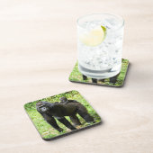 母の背部の幼児低地のゴリラ コースター (右側)