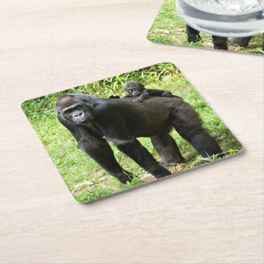 母の背部の幼児低地のゴリラ スクエアペーパーコースター (アングル)