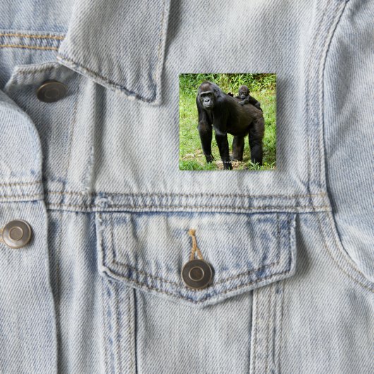 母の背部の幼児低地のゴリラ 缶バッジ (インサイチュ)