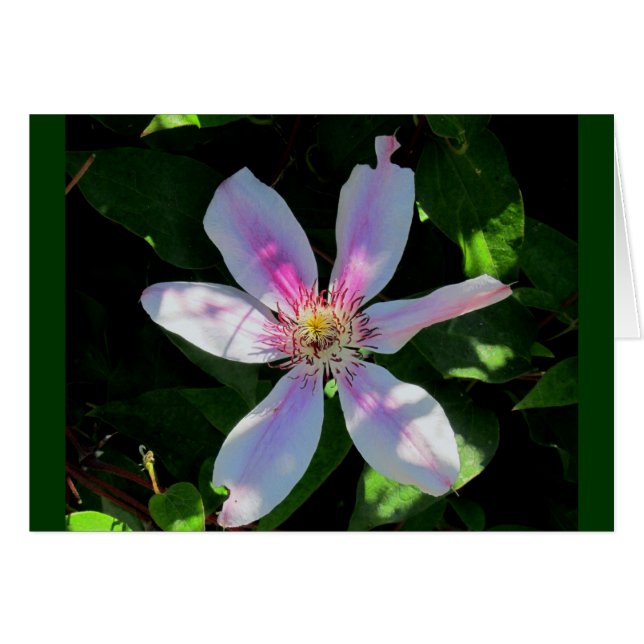 母の花園 (正面横)