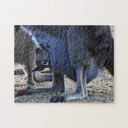 母の袋-オーストラリアのベビーのカンガルー ジグソーパズル (横)