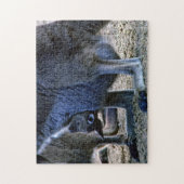 母の袋-オーストラリアのベビーのカンガルー ジグソーパズル (縦)