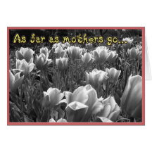 母はカードを引き出す