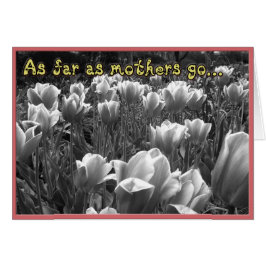 母はカードを引き出す