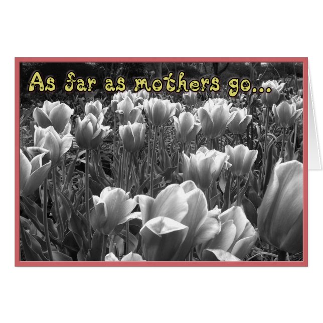 母はカードを引き出す (正面横)