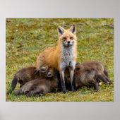 母は似ている ポスター (正面)