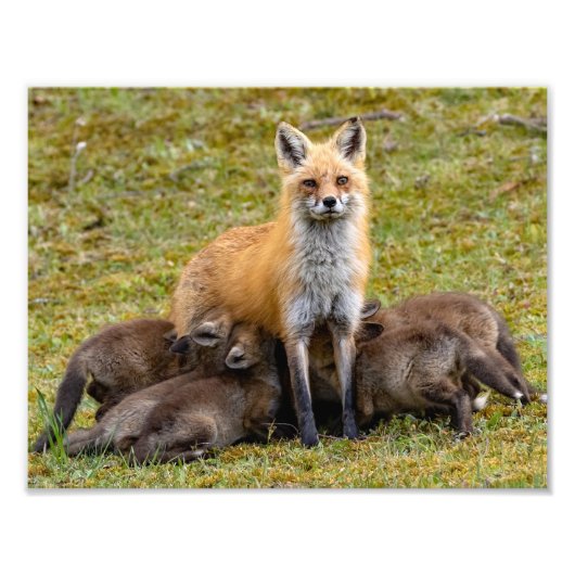 母は家族の食事を提供する フォトプリント            (正面)