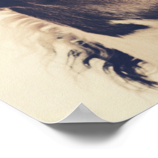 母は愛の馬の別名 ポスター (角)