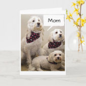 母は3匹の子犬に幸せな母の日を望まれている カード (黄色い花)