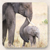 母らしい愛の写真 コースター (正面)