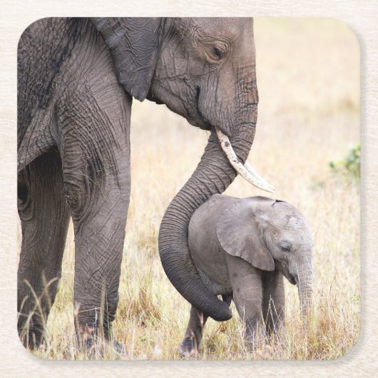 母らしい愛の写真 スクエアペーパーコースター (正面)