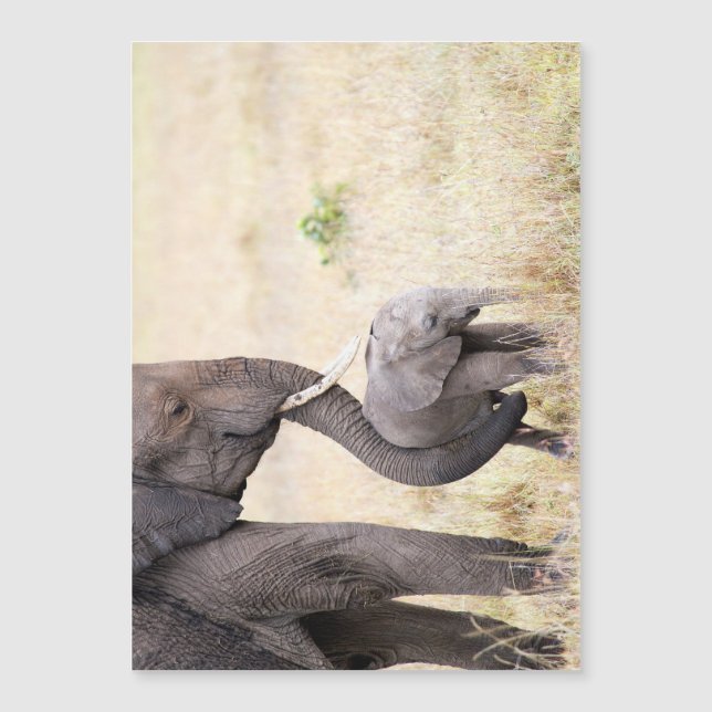 母らしい愛 (正面)