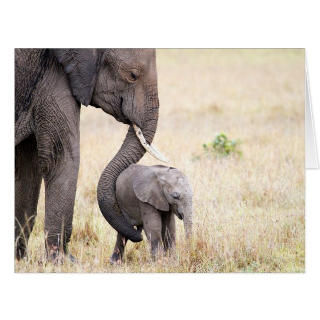 母らしい愛 (正面横)