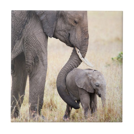 母らしい愛 タイル (正面)