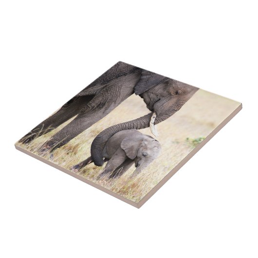 母らしい愛 タイル (側面)