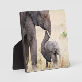 母らしい愛 フォトプラーク (正面)