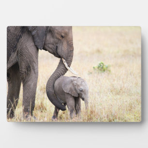 母らしい愛 フォトプラーク