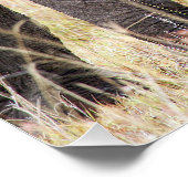 母らしい愛 ポスター (コーナー)