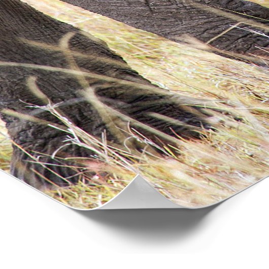 母らしい愛 ポスター (角)