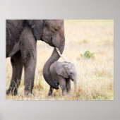 母らしい愛 ポスター (正面)