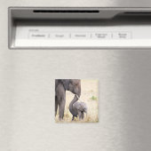 母らしい愛 マグネット (インサイチュ (食洗機))