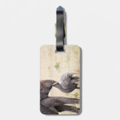 母らしい愛 ラゲッジタグ (裏面縦)