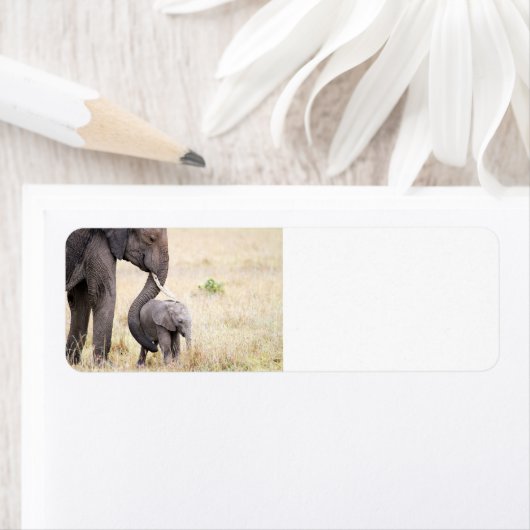 母らしい愛 ラベル (インサイチュ)