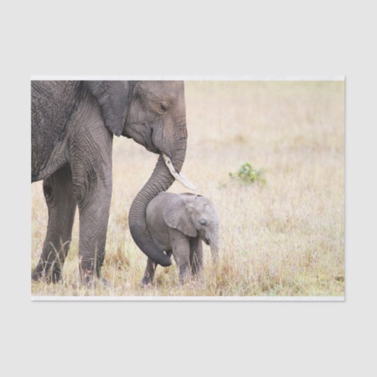 母らしい愛 薄葉紙 (正面)