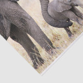 母らしい愛 薄葉紙 (詳細)