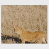 母を待つライオンの子猫 ラッピングペーパー (フラット)