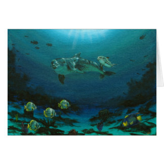 母イルカおよび子牛