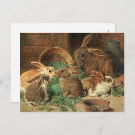 母ウサギと彼女の若さアルフレッド理容師 ポストカード (正面/裏面)