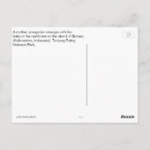 母オランウタンとベビーの自然 ポストカード (裏面)