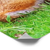 母キツネと子 ポスター (角)