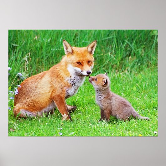 母キツネと子 ポスター (正面)