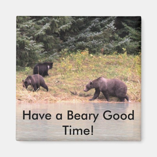 母グリズリーと2匹のカブの高精細な写真 マグネット (正面)