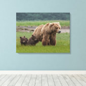 母グリズリーベアと双子の赤ちゃん キャンバスプリント (インサイチュ (ウッドフロア))