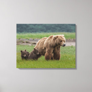 母グリズリーベアと双子の赤ちゃん キャンバスプリント