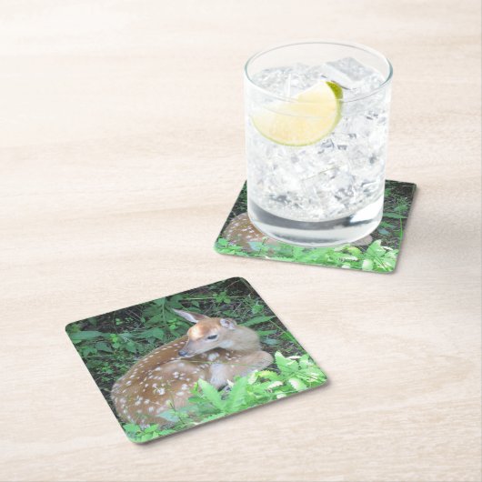 母コースターを待っている子鹿 スクエアペーパーコースター (インサイチュ)