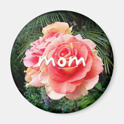 母スクリプトピンクのバラの花の写真モダン マグネット (正面)