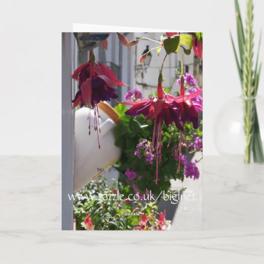 母スペインのの日札 カード (裏面)