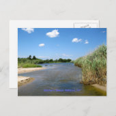 母ビーチ、Bellport NY ポストカード (正面/裏面)