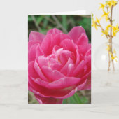 母ファンシー日ピンクチューリップ カード (黄色い花)
