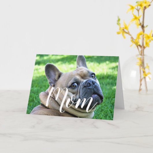 母ペット写真おもしろい母の日かわいい犬の母 カード (黄色い花)