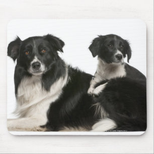 母ボーダーコリーおよび子犬 マウスパッド