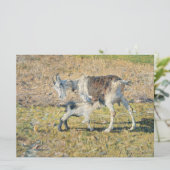 母ヤギと幼い子(Segantini) カード (スタンド正面)