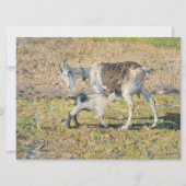 母ヤギと幼い子(Segantini) カード (正面)