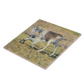 母ヤギと幼い子(Segantini) タイル (側面)